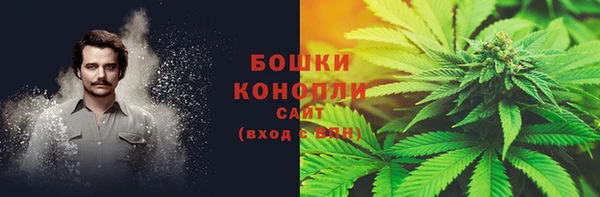 СК Козловка