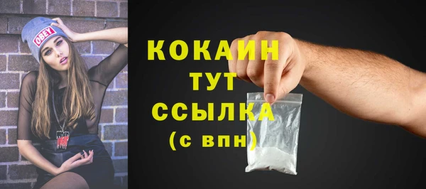 крисы Кодинск