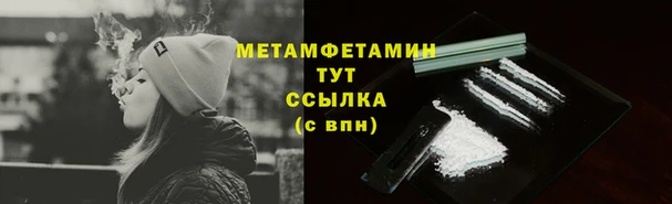 крисы Кодинск