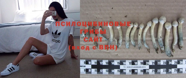 крисы Кодинск