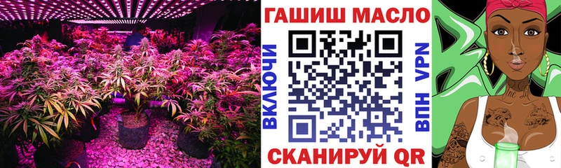 Купить закладки  Валдай  ТГК вейп 