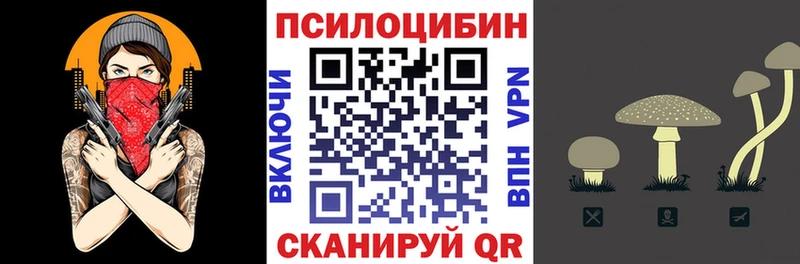 Купить закладки  Валдай  Галлюциногенные грибы GOLDEN TEACHER 
